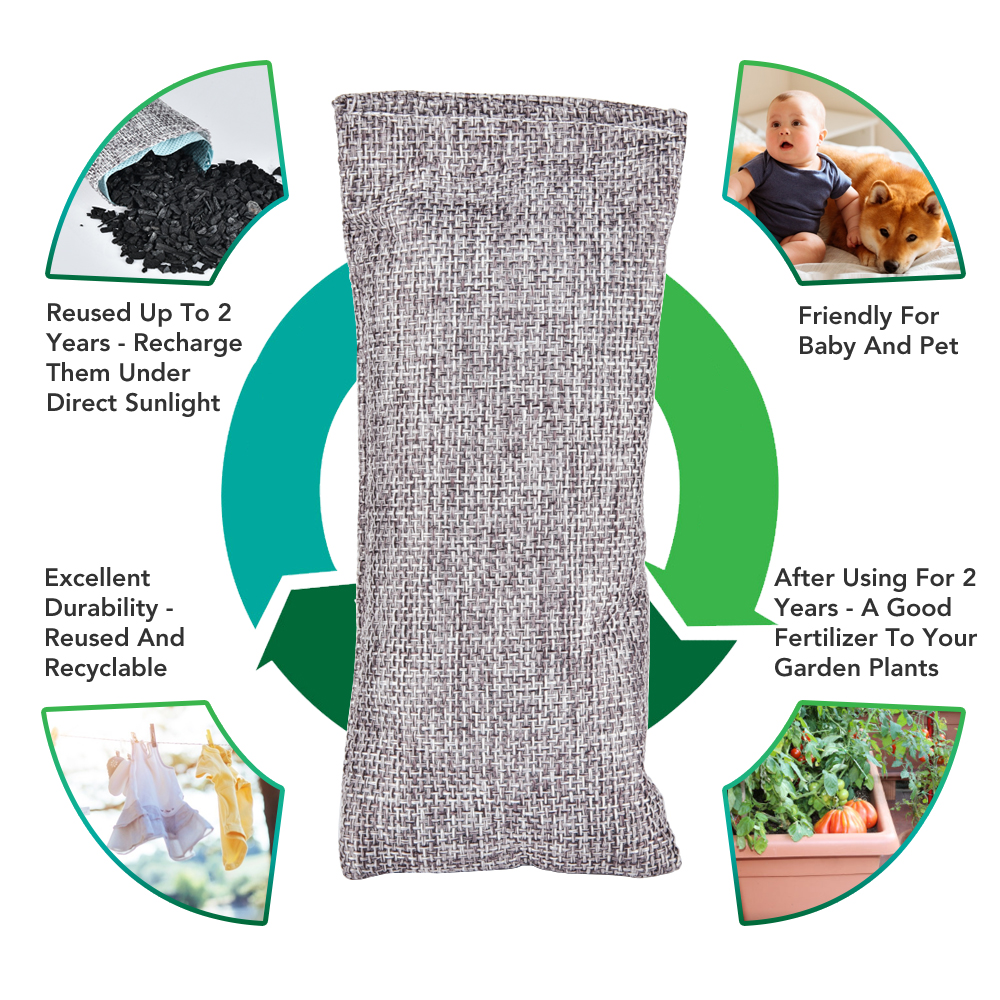 10pcs Natural Bamboo Charcoal  - Odor Eliminator Car reseña y precio